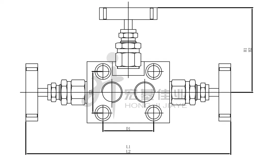 1/2&quot;NPT Forging Stainless Steel 3-Valve Manifolds with Extended Tube