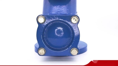 Flange Silencing Check Valve